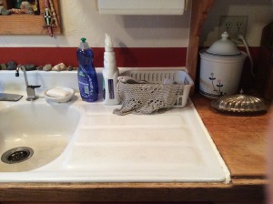 Sink, drain board, cutting board.  The scene of the incident.