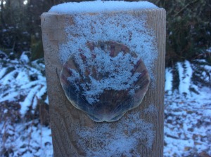 Snowy shell on Phil's Camino, Advent Season 2014.