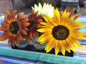 I could just look at sunflowers forever.