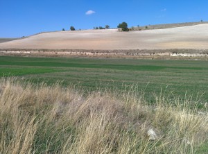 October Spanish agricultural landscape.