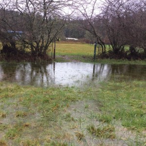 The gate between the north and south pastures showing some of the flooding.  