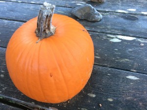 A frosty pumpkin.  
