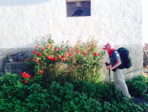 Smelling the roses, another form of serious dilly dally.