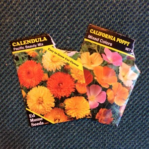 Empty seed packets make great bookmarks bringing color to the black and white of the pages. 