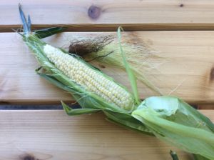 First ear of sweet corn!