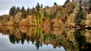 Great island shot sent in by Patty, Cancer Commando.  Enjoying fall!  