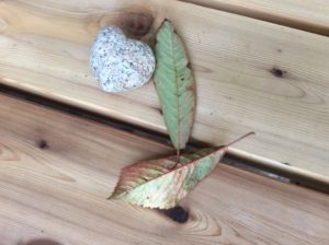 Two leaves and a heart rock.  Looks like autumn.